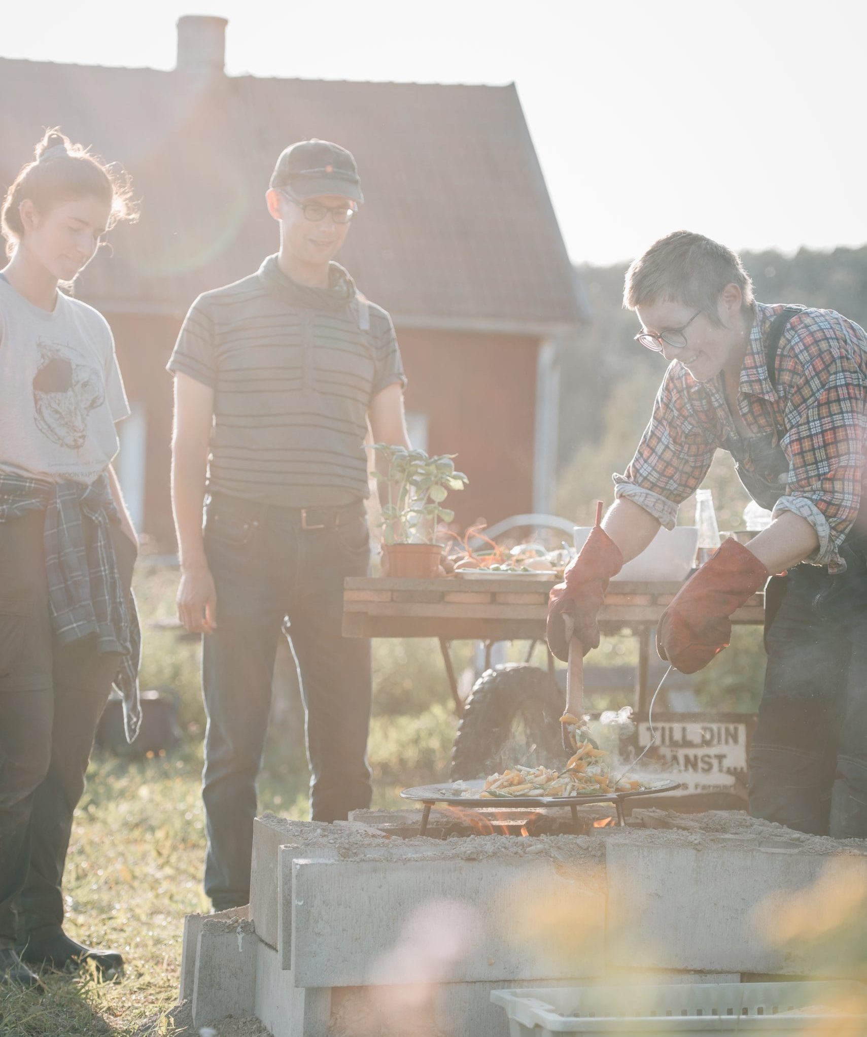 Bild på händer med ett frö i